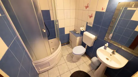Bathroom with shower, basin and toilet
