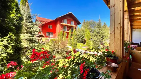 Red flowers and a view towards the guesthouse and garden