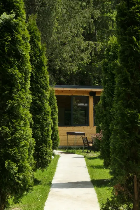 Paved path between fir trees towards a wooden gazebo