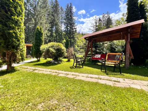Wooden swing beside the lawn, path and fir trees